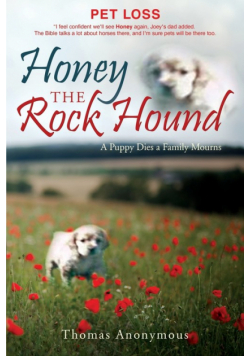 Honey the Rock Hound