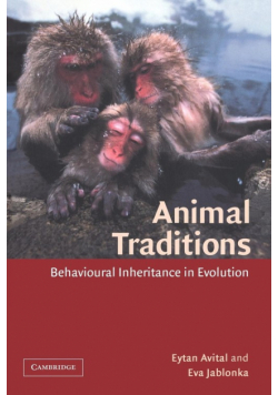 Animal Traditions