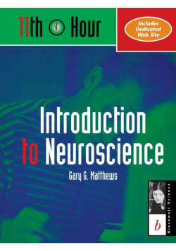 11th Hour  Intro to Neuroscience