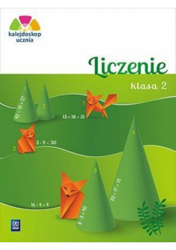 Kalejdoskop ucznia. Liczenie kl. 2 WSiP