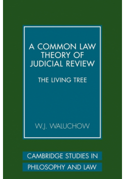 A Common Law Theory of Judicial Review