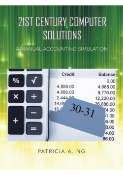 21st Century Computer Solutions