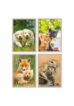 Kołonotatnik A6/40K kratka Animals (20szt)