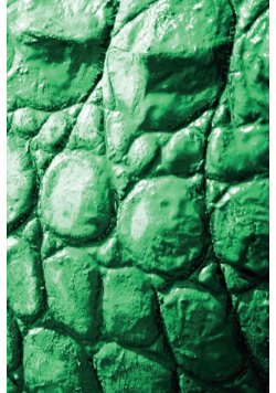 Alive! crocodile skin - Emerald duotone - Photo art notebooks (6 x 9 series)
