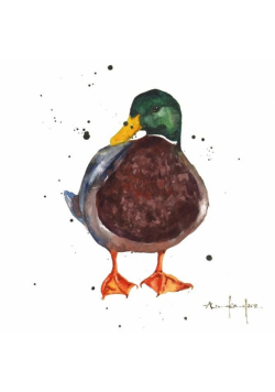 Karnet kwadrat mały z kopertą Mallard Chap
