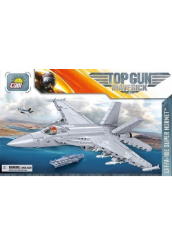 Top Gun F/A-18E Super Hornet