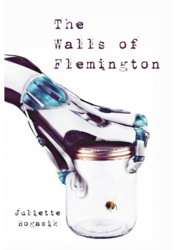 The Walls of Flemington