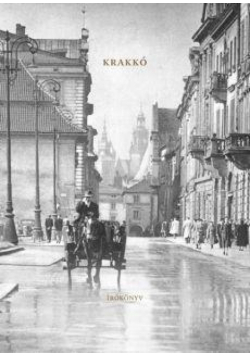 Kraków. Książka do pisania