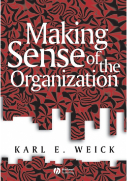 Making Sense of the Organizati