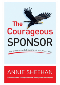 The Courageous Sponsor