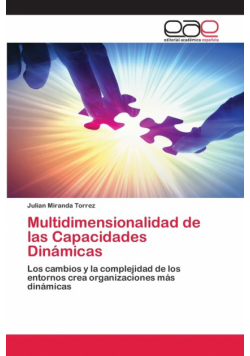 Multidimensionalidad de las Capacidades Dinámicas