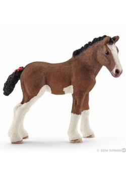 Źrebię rasy Clydesdale