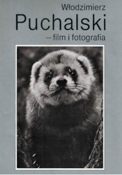 Film i fotografia