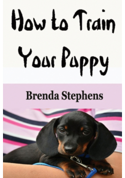 How to Train Your Puppy