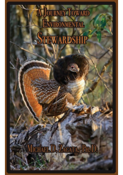 A Journey Toward Environmental Stewardship