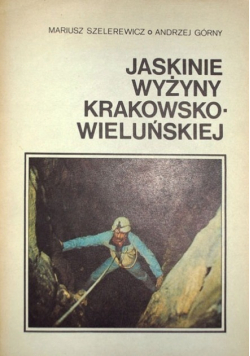Jaskinie wyżyny krakowsko   wieluńskiej