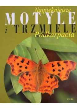 Najpiękniejsze motyle i trzmiele Podkarpacia