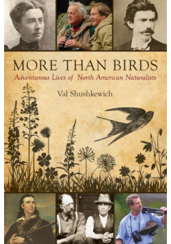 More Than Birds