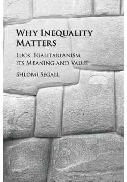 Why Inequality Matters