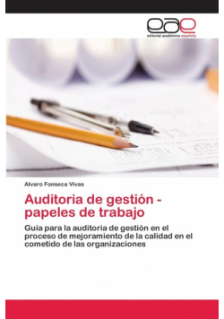 Auditoria de gestión - papeles de trabajo