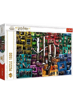 Puzzle Harry Potter: Na przestrzeni filmów1500