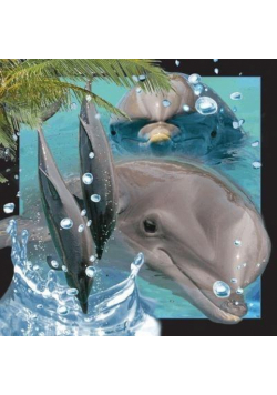 Pocztówka 3D Delfin