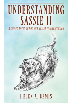 Understanding Sassie II