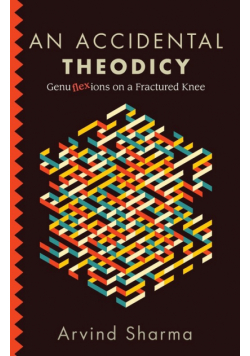 An Accidental Theodicy