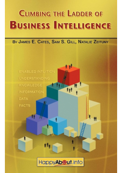 Climbing the Ladder of Business Intelligence