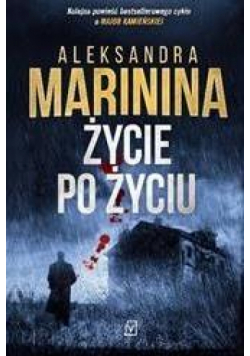 Życie po życiu