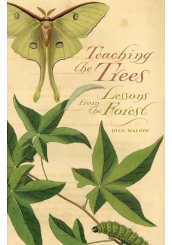 Teaching the Trees