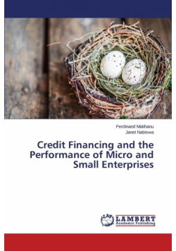 Credit Financing and the Performance of Micro and Small Enterprises