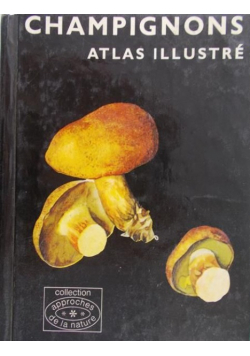 Pilat Albert - Mały atlas grzybów