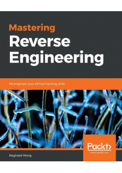 Mastering Reverse Engineering