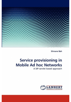 Service Provisioning in Mobile Ad Hoc Networks