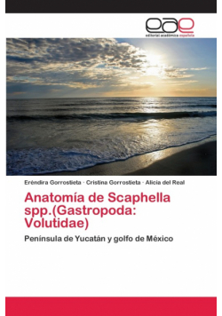 Anatomía de Scaphella spp.(Gastropoda