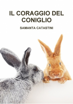 Il Coraggio Del Coniglio