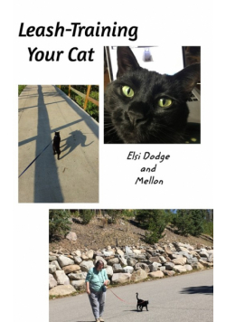 Leash Training Your Cat