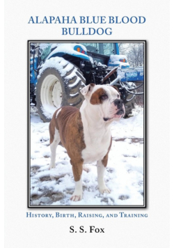 Alapaha Blue Blood Bulldog