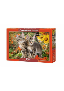 Puzzle 1500 Kitten Buddies CASTOR