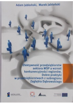 Efektywność przedsiębiorstw sektora MŚP a wzrost konkurencyjności regionów Dobre praktyki w przedsiębiorstwach z subregionu Zagłębia Dąbrowskiego