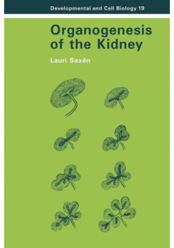 Organogenesis of the Kidney
