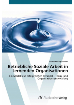 Betriebliche Soziale Arbeit in lernenden Organisationen