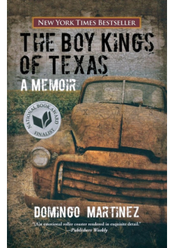 Boy Kings of Texas