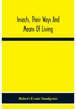Insects, Their Ways And Means Of Living