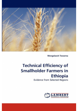 Technical Efficiency of Smallholder Farmers in Ethiopia