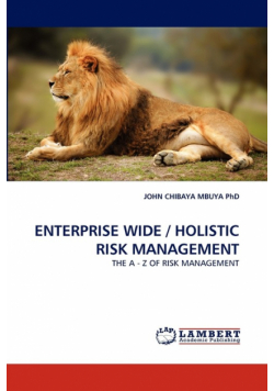 Enterprise Wide / Holistic Risk Management