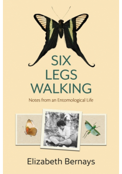 Six Legs Walking
