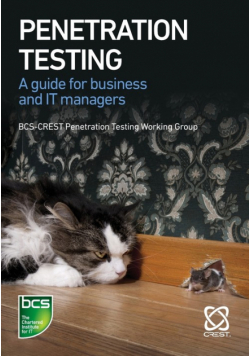 Penetration Testing