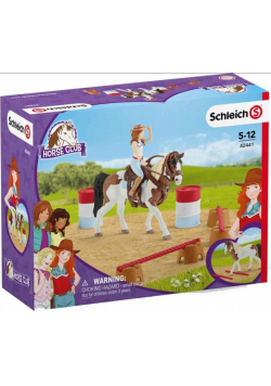 Horse Club Hanna's Werstern riding